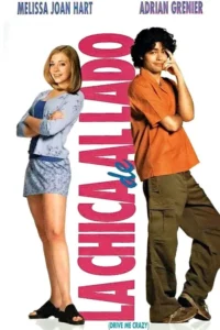 Drive Me Crazy Movie Poster
