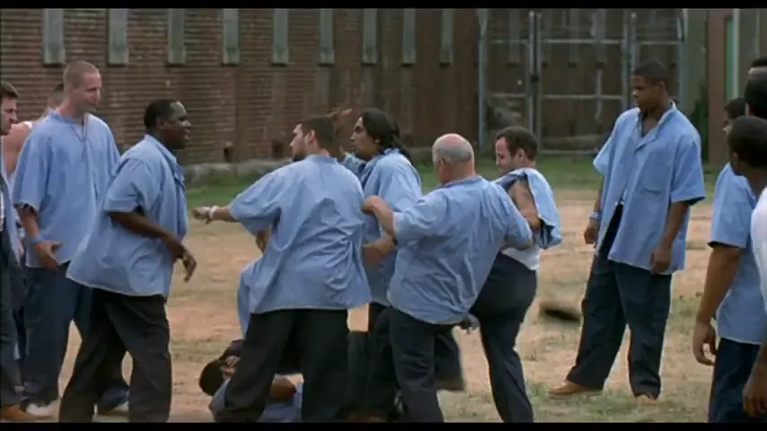 Animal Factory Scene 2