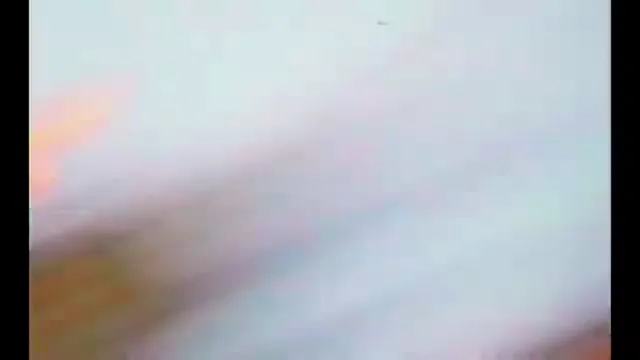 Crocodile Dundee in Los Angeles Scene 5