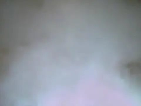 Cats & Dogs Scene 4