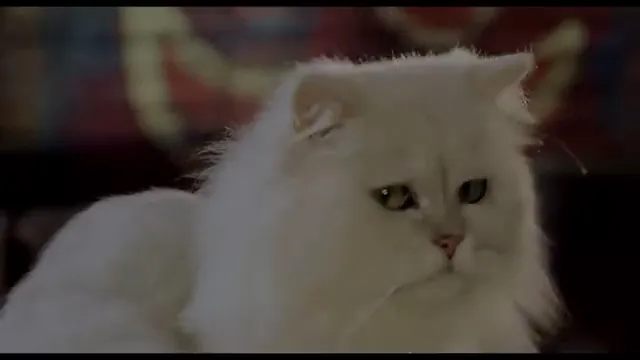 Stuart Little 2 Scene 4