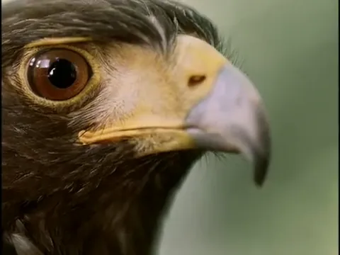 Lost and Delirious Scene 3