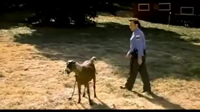 The Animal Scene 5
