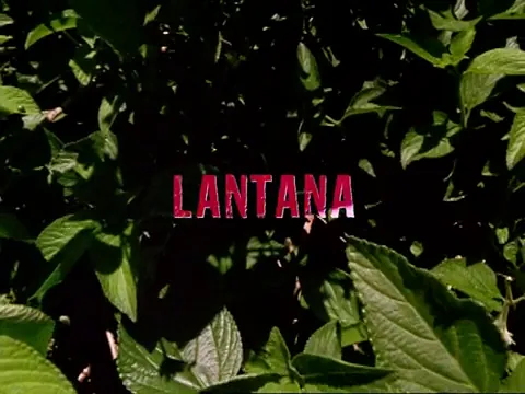 Lantana Scene 1