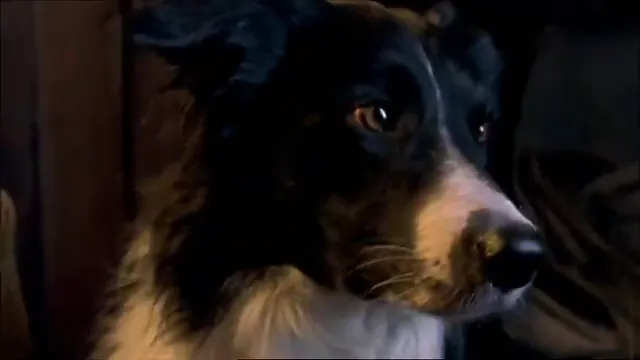 Dog Soldiers Scene 2