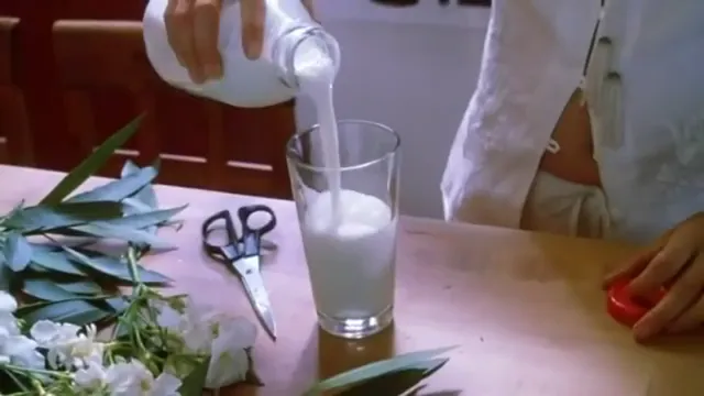 White Oleander Scene 1