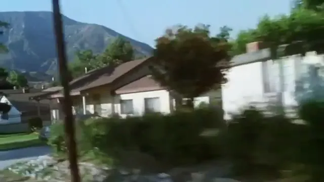 White Oleander Scene 2