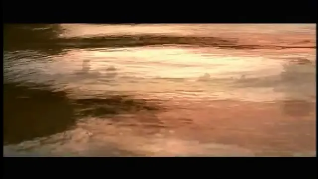 Beyond Borders Scene 3