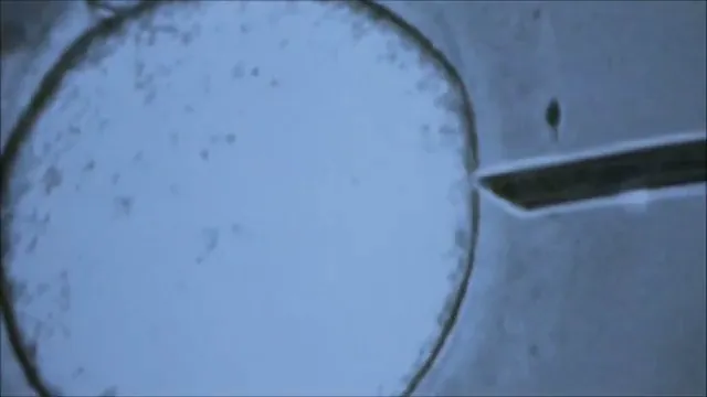 Godsend Scene 2