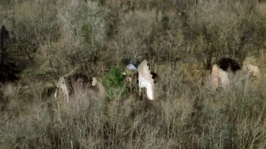 Freedomland Scene 3