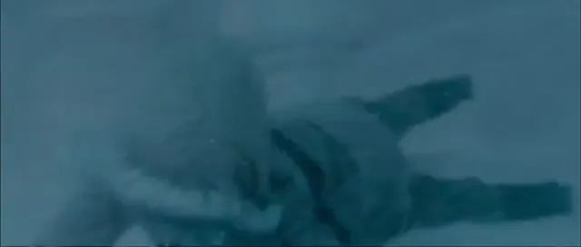 Whiteout Scene 2