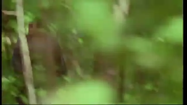 Cube Zero Scene 5