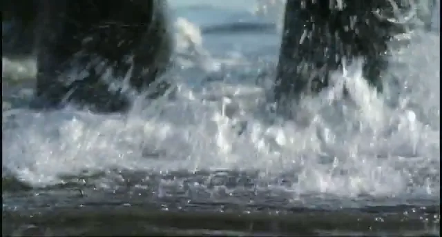 Earth Scene 3