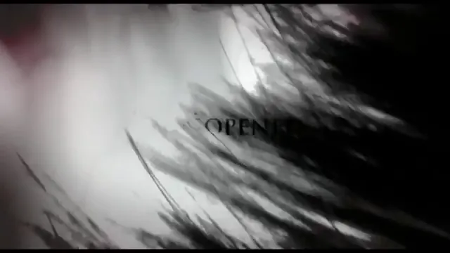 The Grudge 2 Scene 2