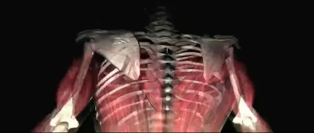 Skinwalkers Scene 1