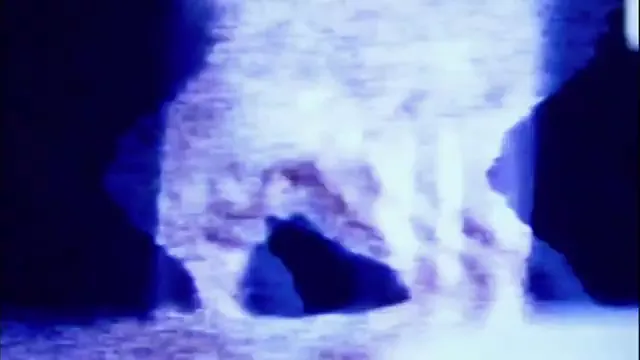 The Signal Scene 5