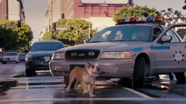Hotel for Dogs Scene 5