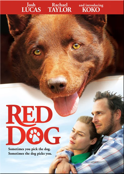 Red Dog Movie Poster