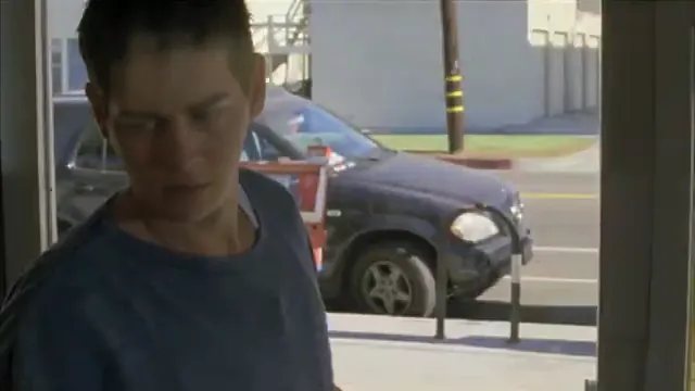 Shelter Scene 5