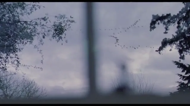Creation Scene 2