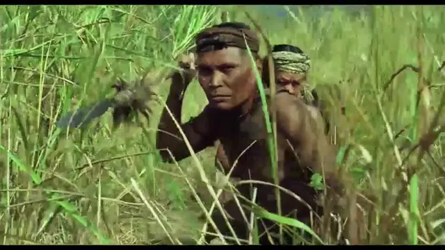 Creation Scene 5