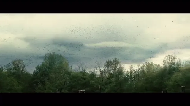 The Big Year Scene 1