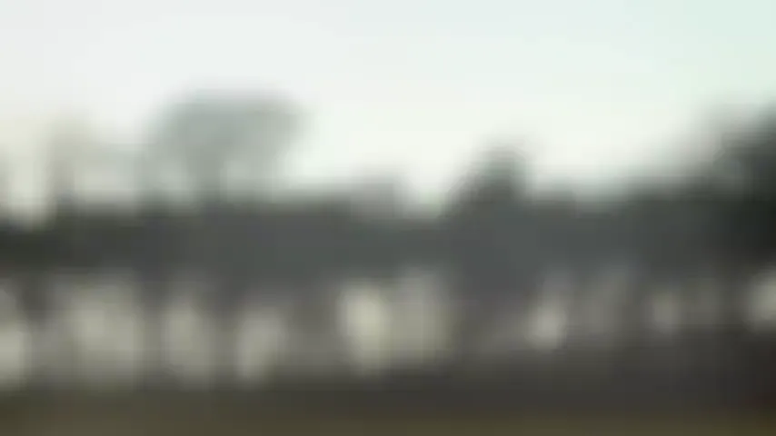 Megan Is Missing Scene 2