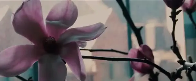 The Girlfriend Experience Scene 1