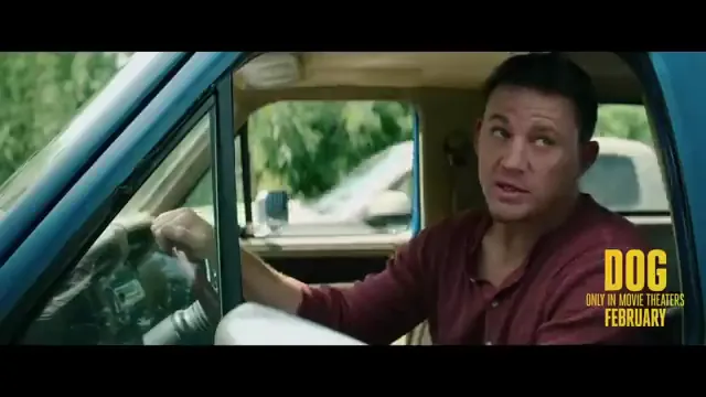 Dog Scene 1