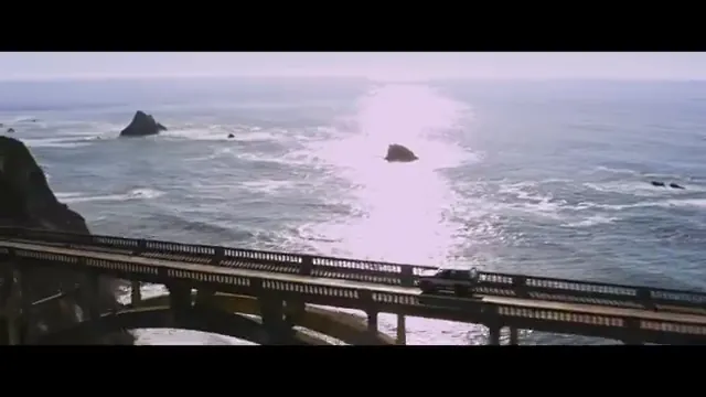 Dog Scene 2