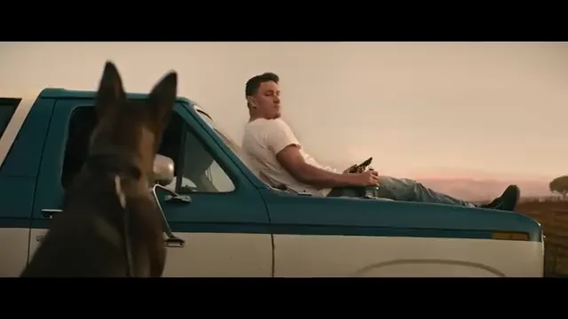 Dog Scene 3