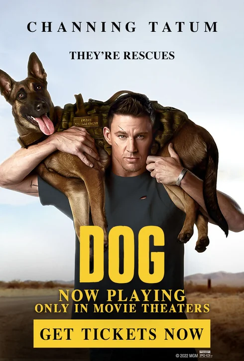 Dog Movie Poster
