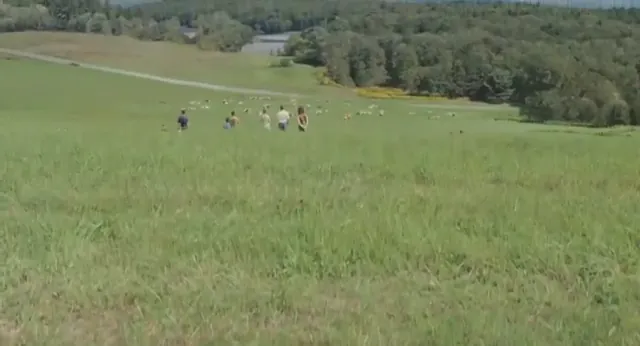 Taking Woodstock Scene 2