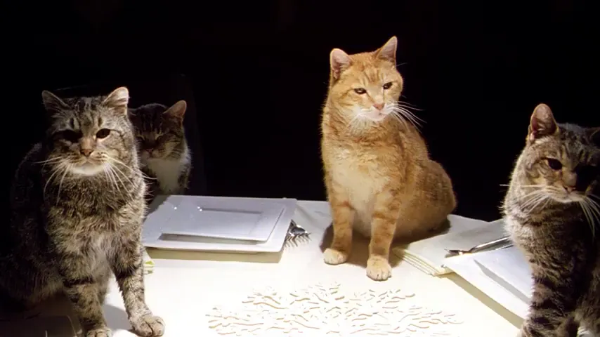 The Slammin' Salmon Scene 2