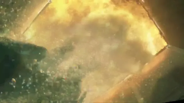 Resident Evil: Degeneration Scene 5