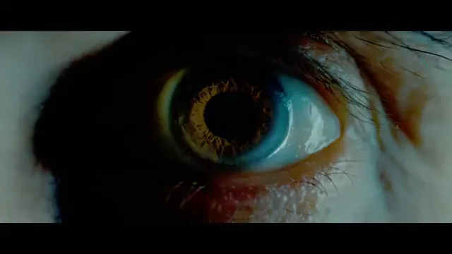 Shelter Scene 5
