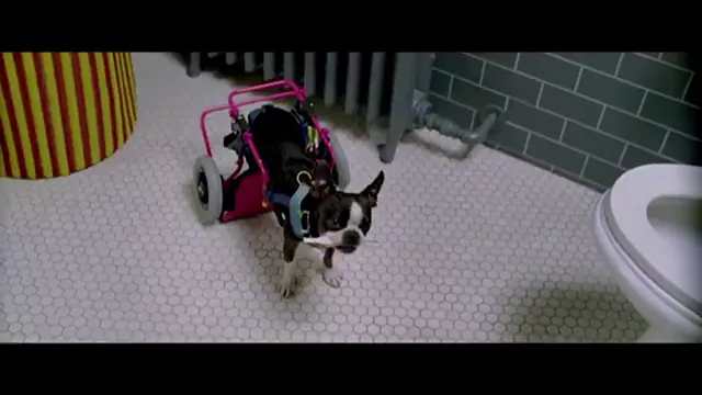 The Back-up Plan Scene 3