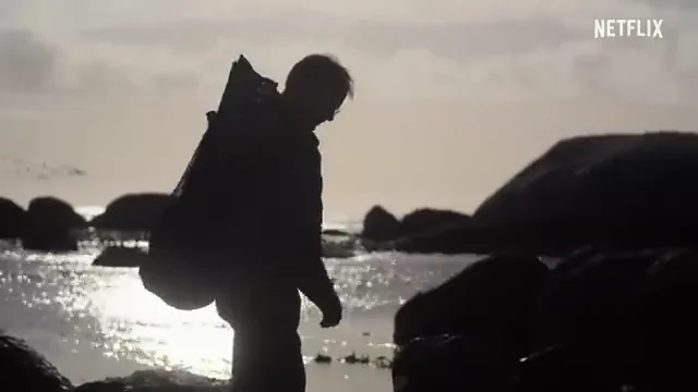 My Octopus Teacher Scene 4