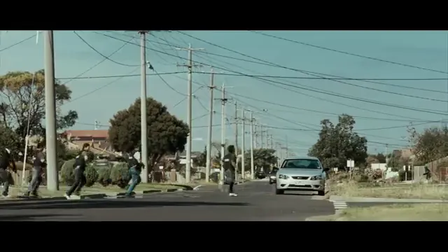 Animal Kingdom Scene 3