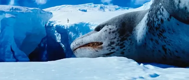 Happy Feet Two Scene 5