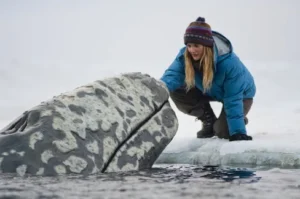 Big Miracle Movie Poster