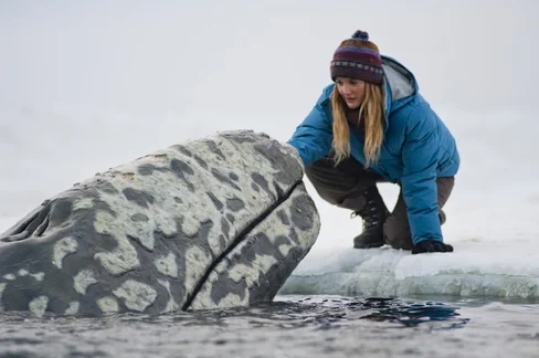 Big Miracle Movie Poster
