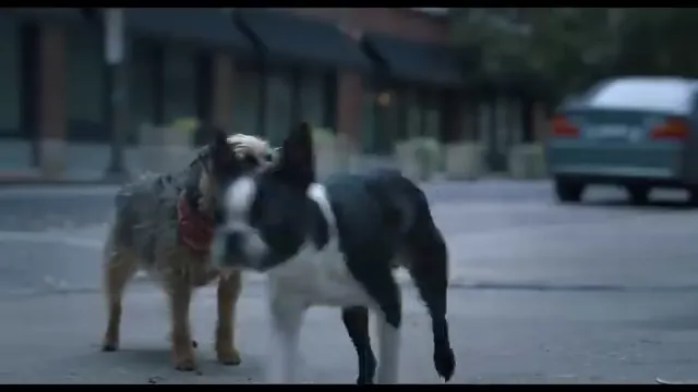 Strays Scene 2