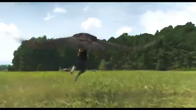 Strays Scene 4