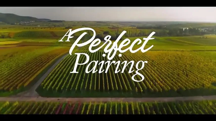 A Perfect Pairing Scene 5