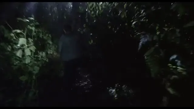 Blair Witch Scene 2