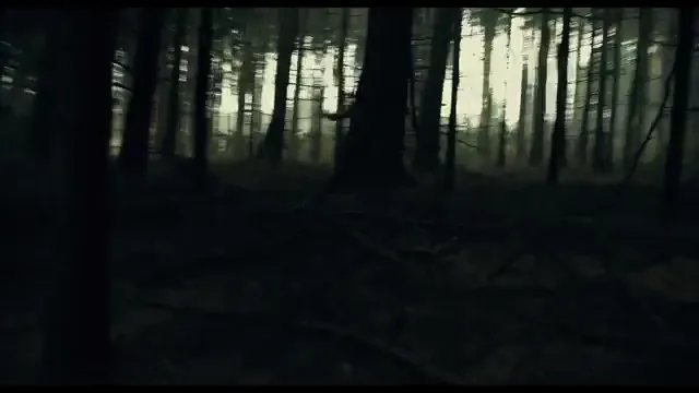 Blair Witch Scene 3