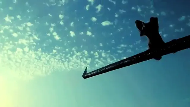 Life in a Day Scene 2