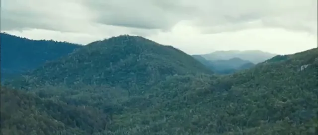 The Hunter Scene 2