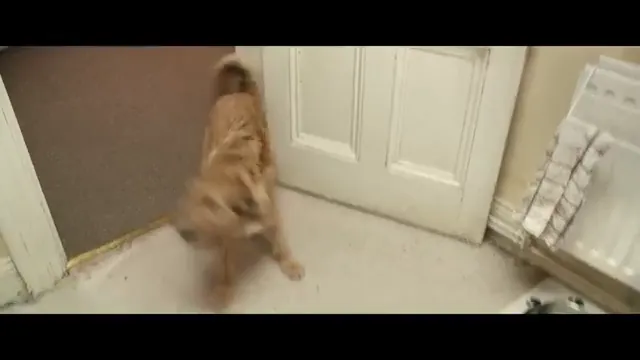 Absolutely Anything Scene 5